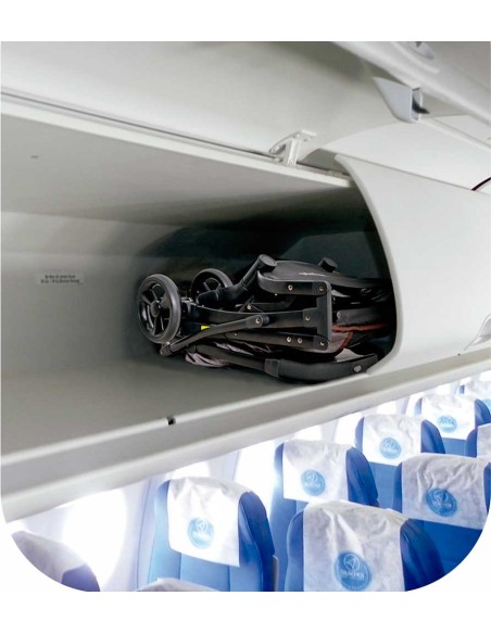 cochecito-paseo-perro