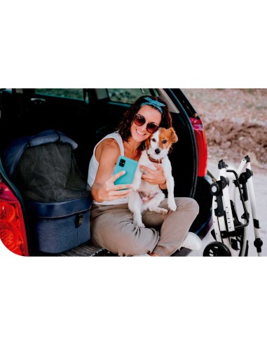 cochecito-paseo-perro