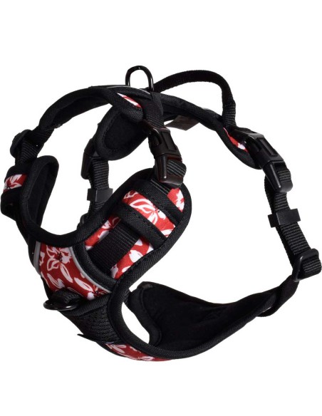 arnes-perro-rando-monoi