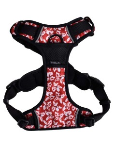 arnes-perro-rando-monoi