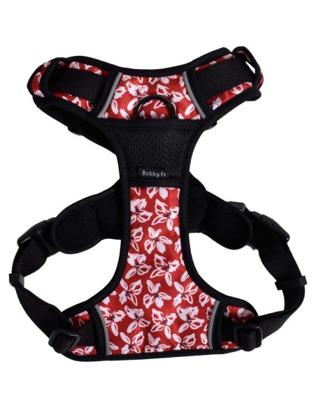 arnes-perro-rando-monoi