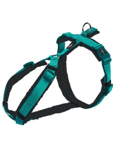 arnes-perro-trekking