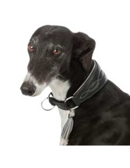 collar-piel-galgo collar-piel-galgo