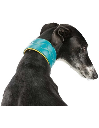 collar-piel-galgo