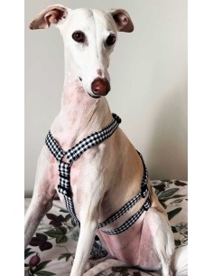 arnes-algodon-antiescape-galgo