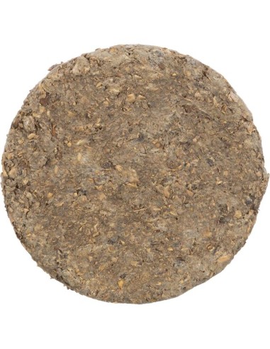 pelota-tripa-bufalo
