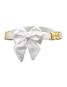 collar-ceremonia-perro