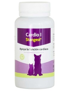 cardio-I-stangest