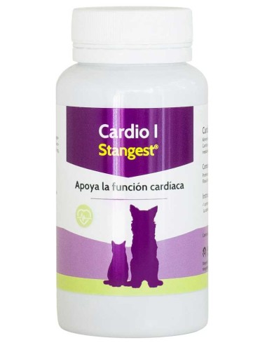 cardio-I-stangest