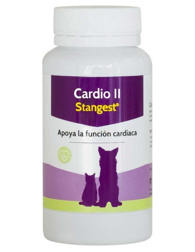 cardio-II-stangest