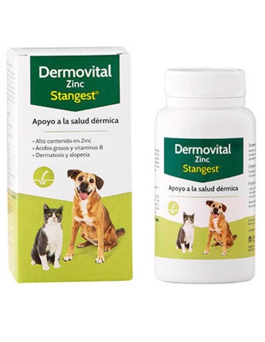 dermovital-zinc-stangest