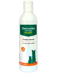 dermovital-champu-stangest
