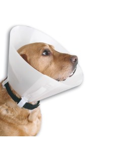 collar-isabelino-perro