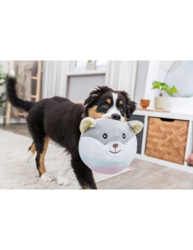 Juguete para perro peluche