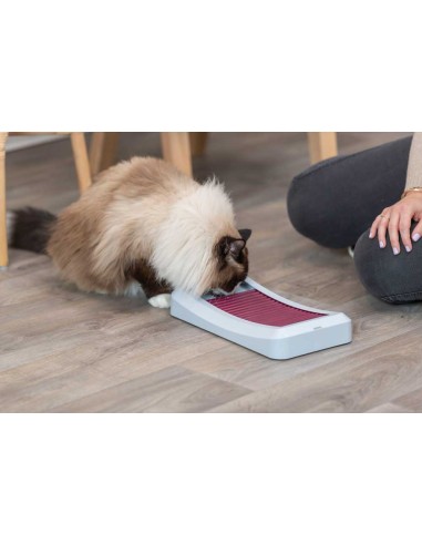 juguete-estrategia-gato