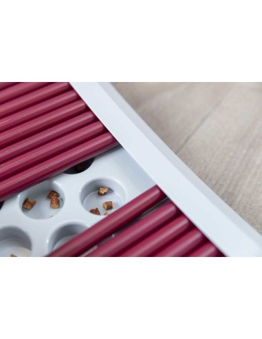 juguete-estrategia-gato