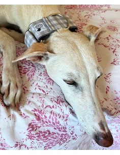 collar-galgo-algodon