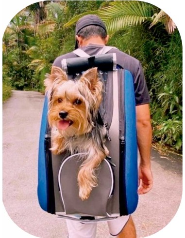 cochecito-transporte-perro