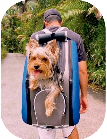 cochecito-transporte-perro