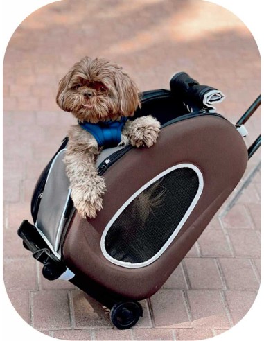 cochecito-transporte-perro