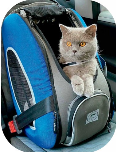 cochecito-transporte-perro