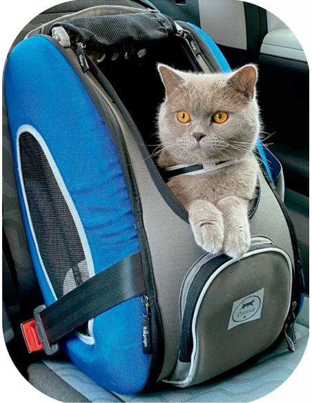 cochecito-transporte-perro