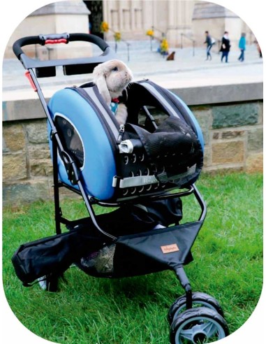 cochecito-transporte-perro