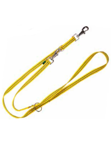 ramal-antideslizante-perro