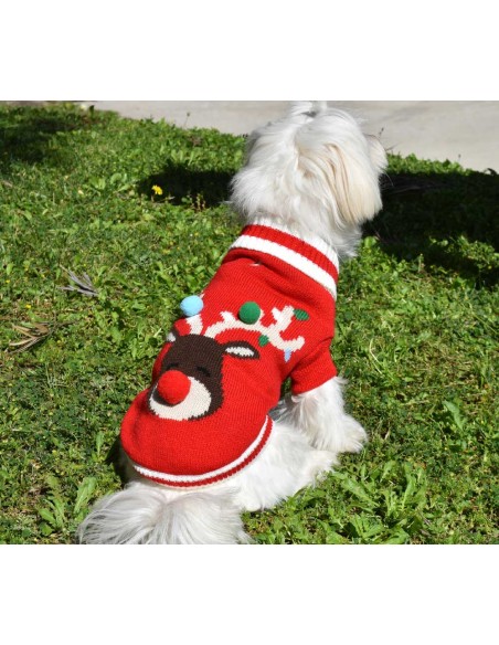jersey-perro-navidad