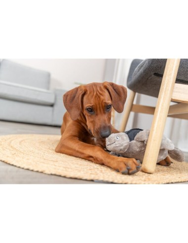 juguete-perro-peluche-tortuga