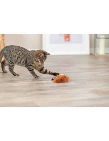 juguete-gato-peluche-ardilla