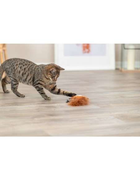 juguete-gato-peluche-ardilla