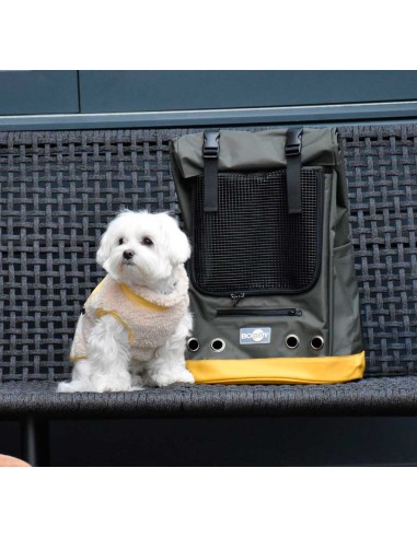 mochila-transporte-perro