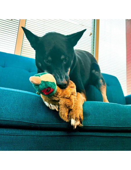 juguete-perro-faisan-kong
