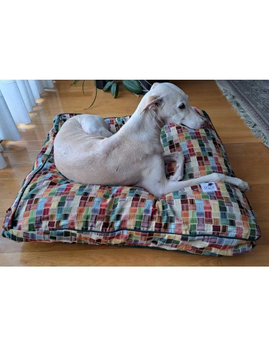 cama-especial-galgo