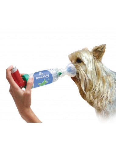 camara-aerosoles-perro