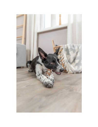 snack-perro-piel-vacuno