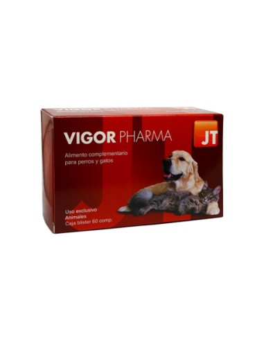 vigor-pharma-perro-gato