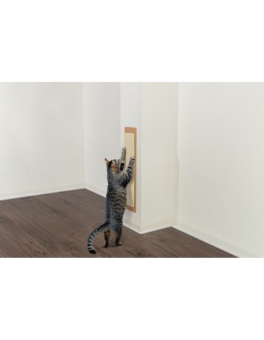 rascador-plano-gato