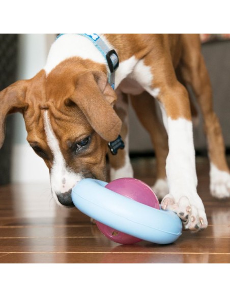 pelota-dispensadora-premios-kong