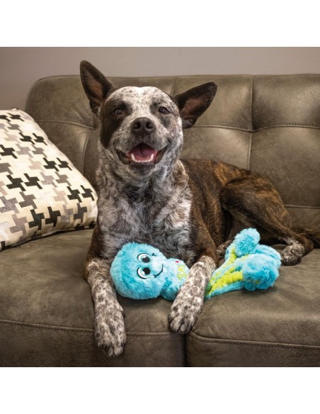 Juguete para perro, pulpo de KONG