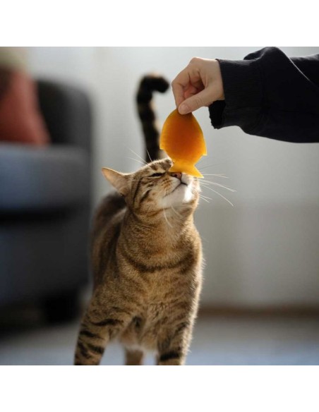 juguete-gato-caucho-natural