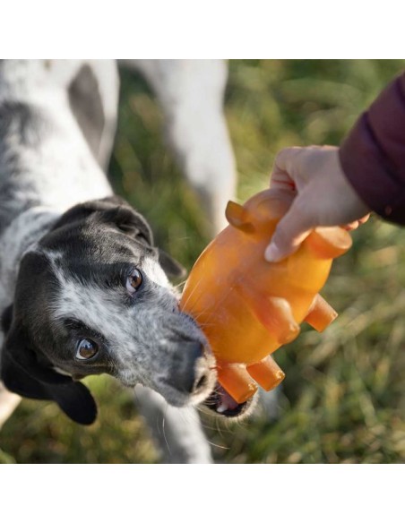 juguete-perro-caucho-natural