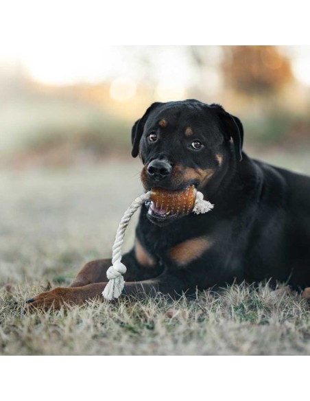 juguete-perro-caucho-natural
