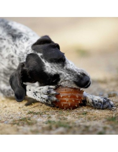 juguete-perro-caucho-natural
