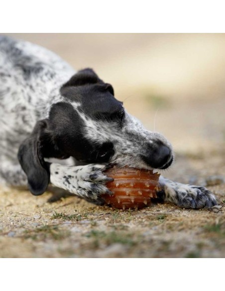 juguete-perro-caucho-natural