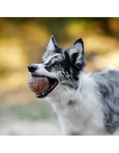 juguete-perro-caucho-natural