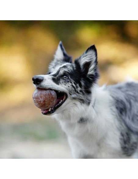 juguete-perro-caucho-natural