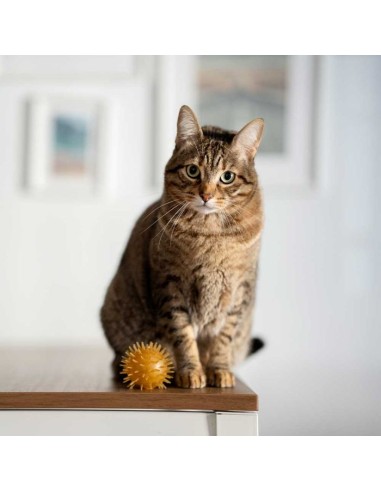 juguete-gato-caucho-natural