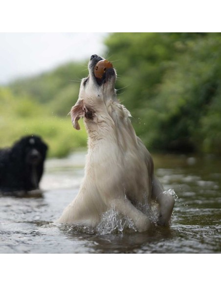 juguete-perro-caucho-natural juguete-perro-caucho-natural